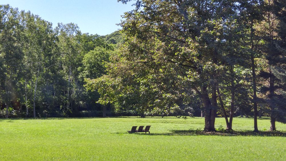 札幌五輪の記憶ー真駒内公園を走るの写真4