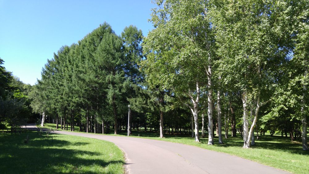 札幌五輪の記憶ー真駒内公園を走るの写真5