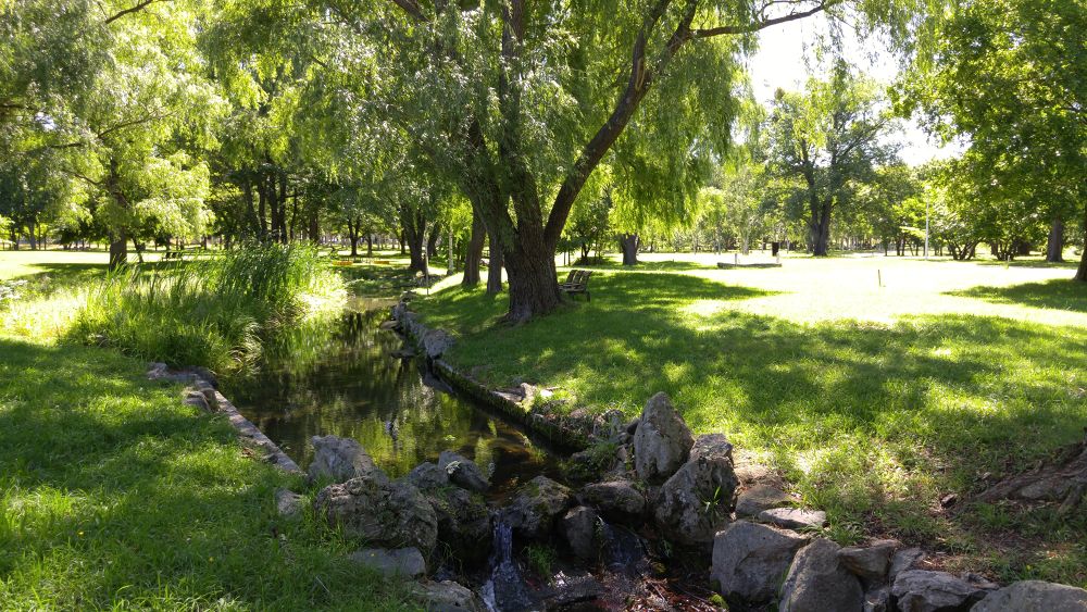 札幌五輪の記憶ー真駒内公園を走るの写真6