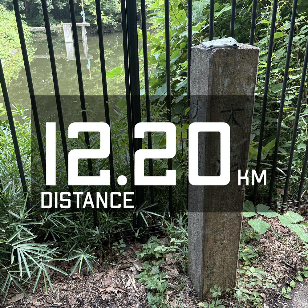 寺家ふるさと公園と王禅寺ふるさと公園の写真4