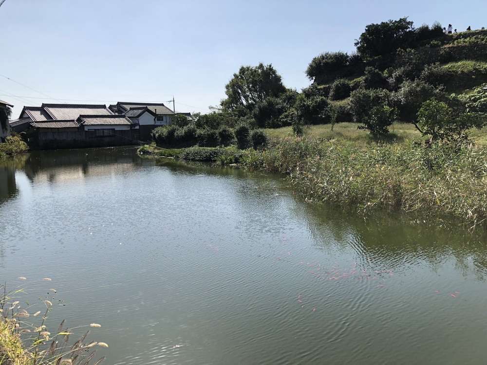 日本最古の道をいく 山辺の道トレイルランの写真3