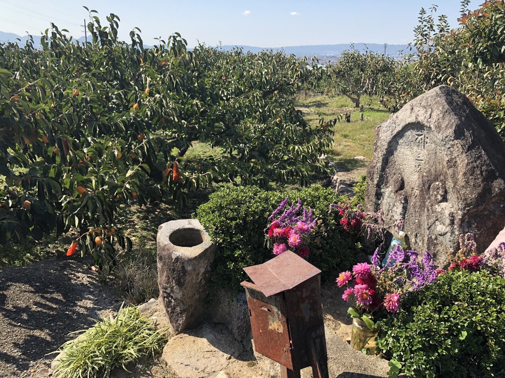 日本最古の道をいく 山辺の道トレイルランの写真4
