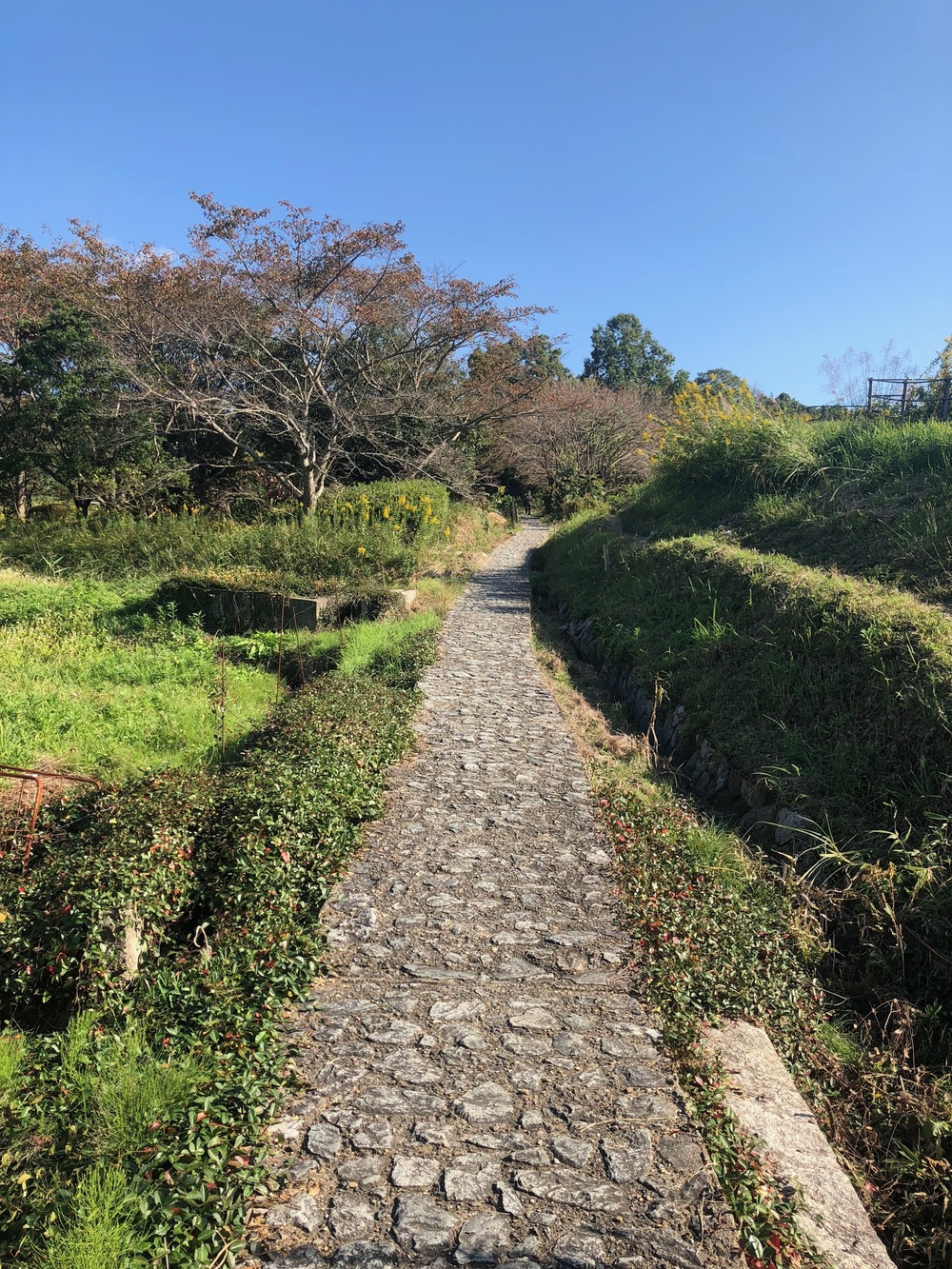 日本最古の道をいく 山辺の道トレイルランの写真6
