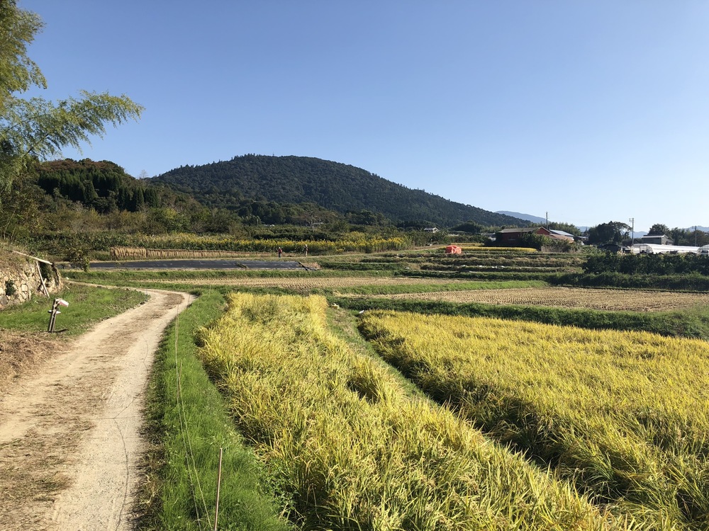 日本最古の道をいく 山辺の道トレイルランの写真7