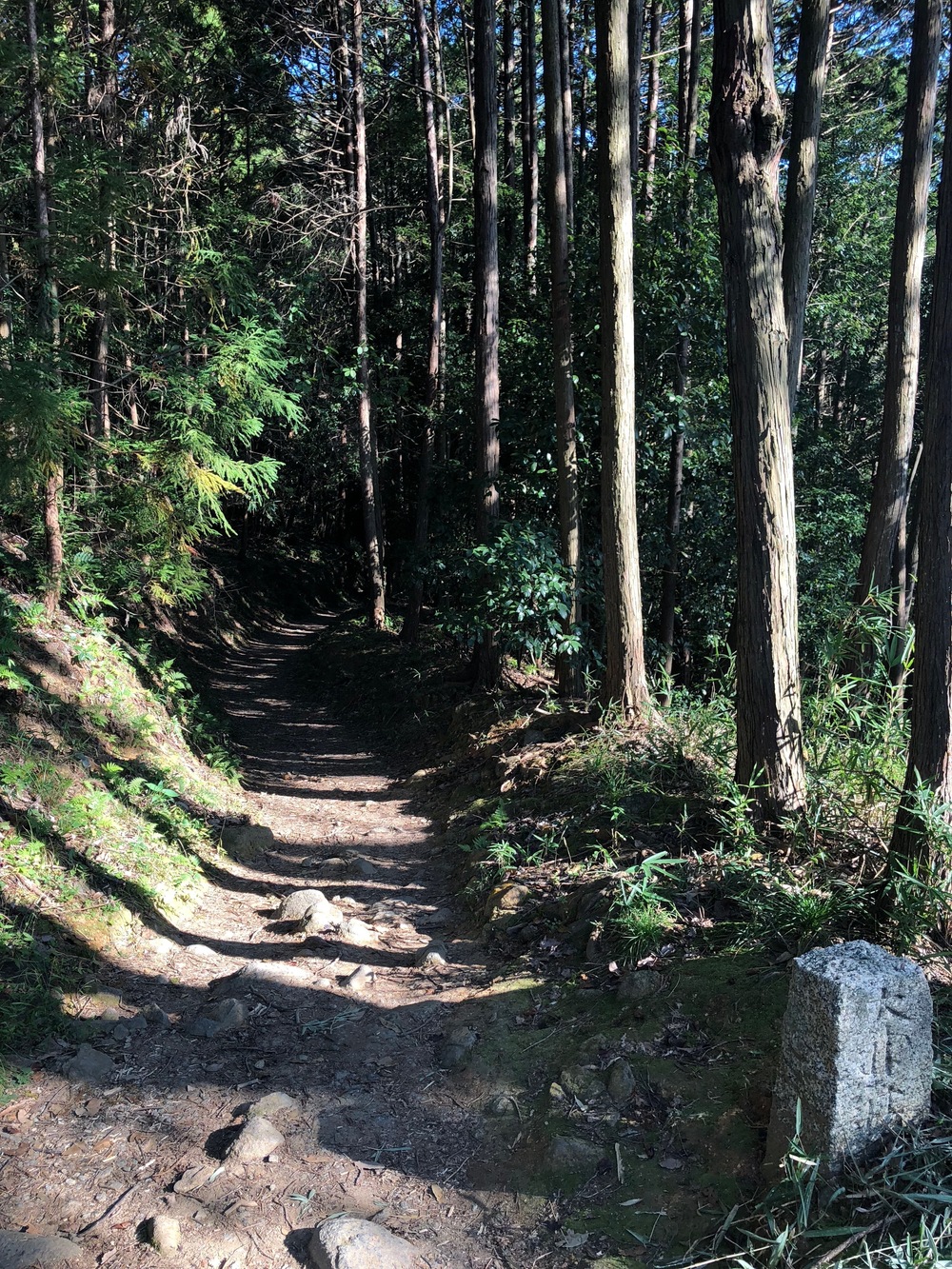 日本最古の道をいく 山辺の道トレイルランの写真9