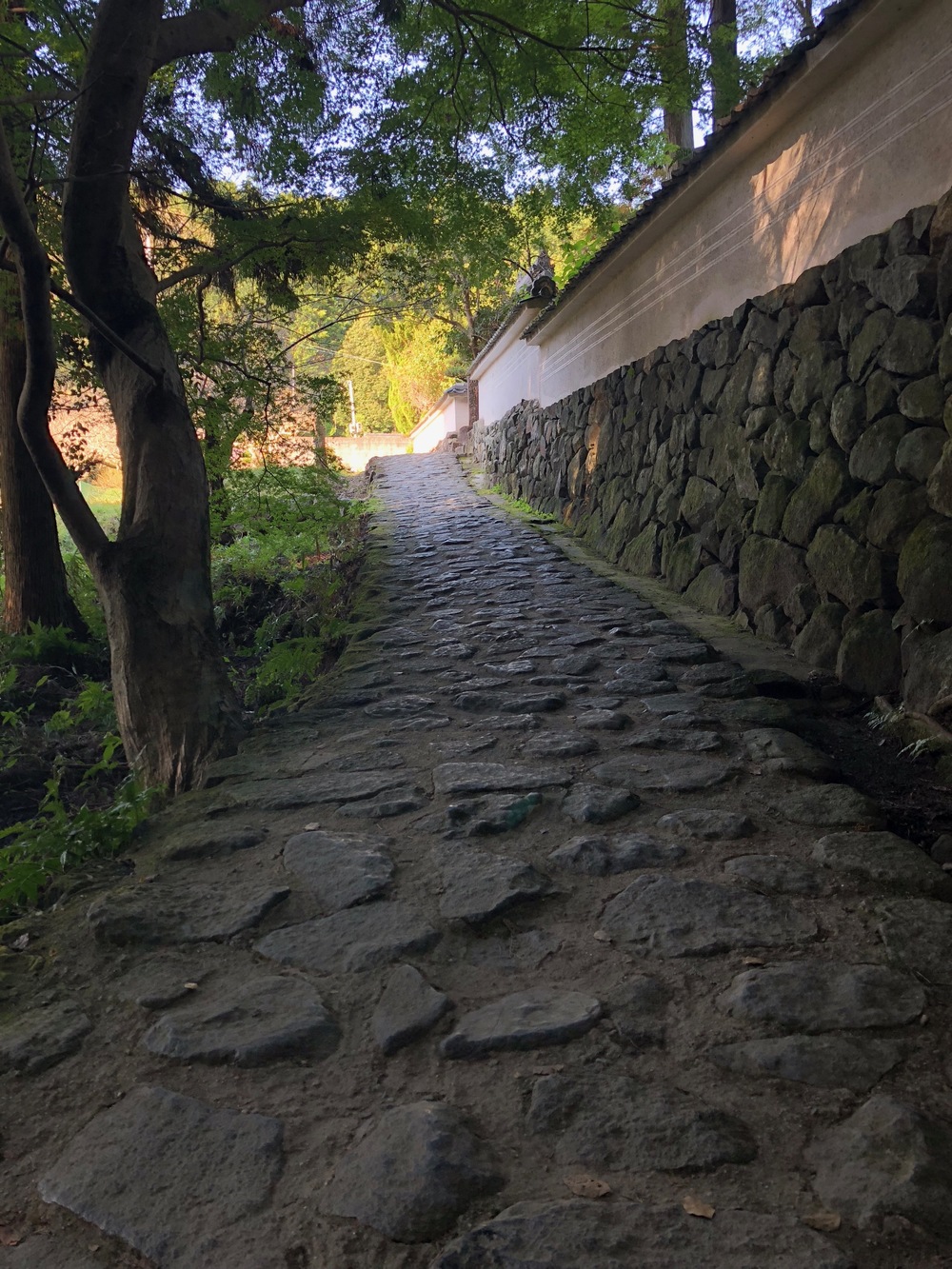 日本最古の道をいく 山辺の道トレイルランの写真10