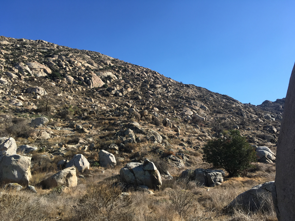 Lake Perris runの写真6