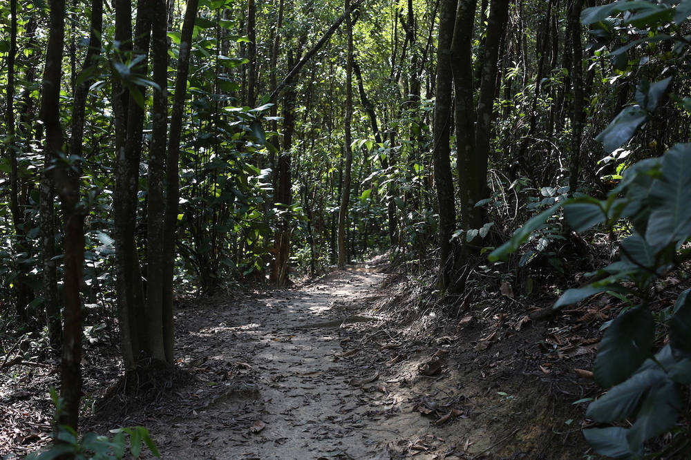 ヘンテコ建造物を求めて走る・サザンリッジ4公園横断コースの写真4