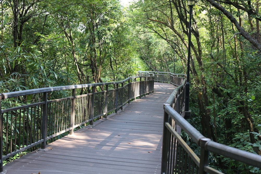 ヘンテコ建造物を求めて走る・サザンリッジ4公園横断コースの写真5