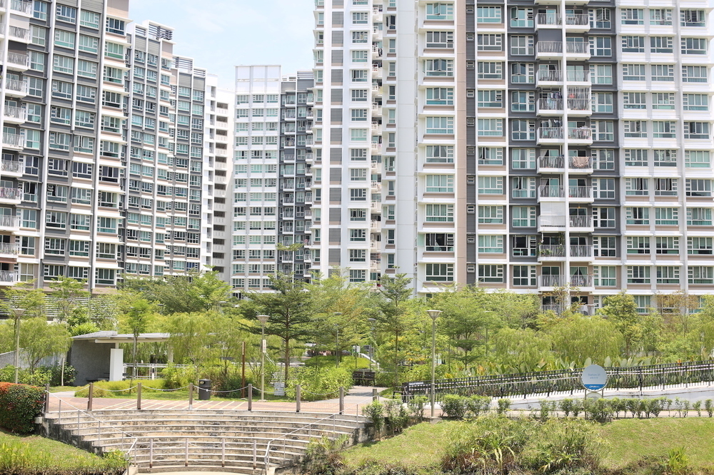 最近流行りのポンゴル公園 〜 コニー島・至福の14kmの写真3