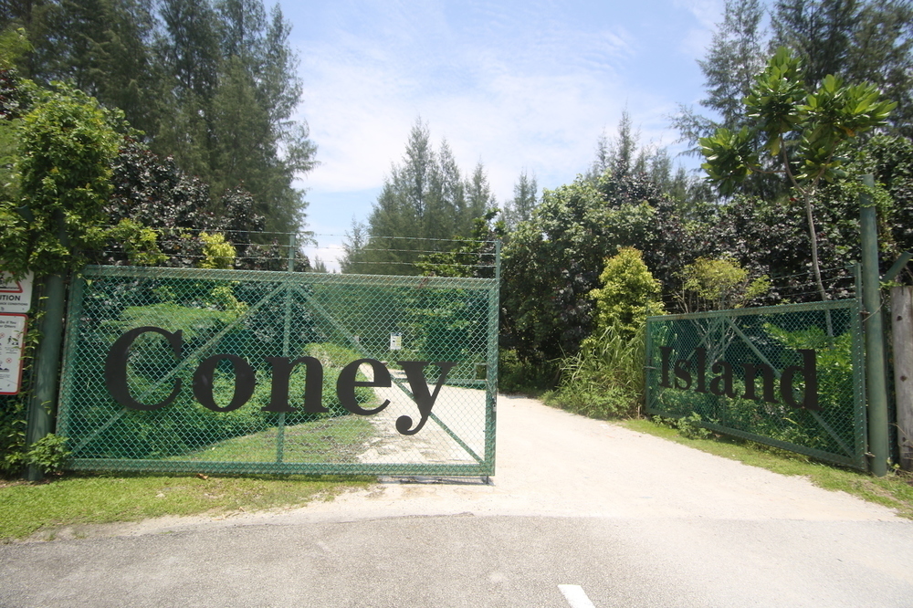 最近流行りのポンゴル公園 〜 コニー島・至福の14kmの写真6