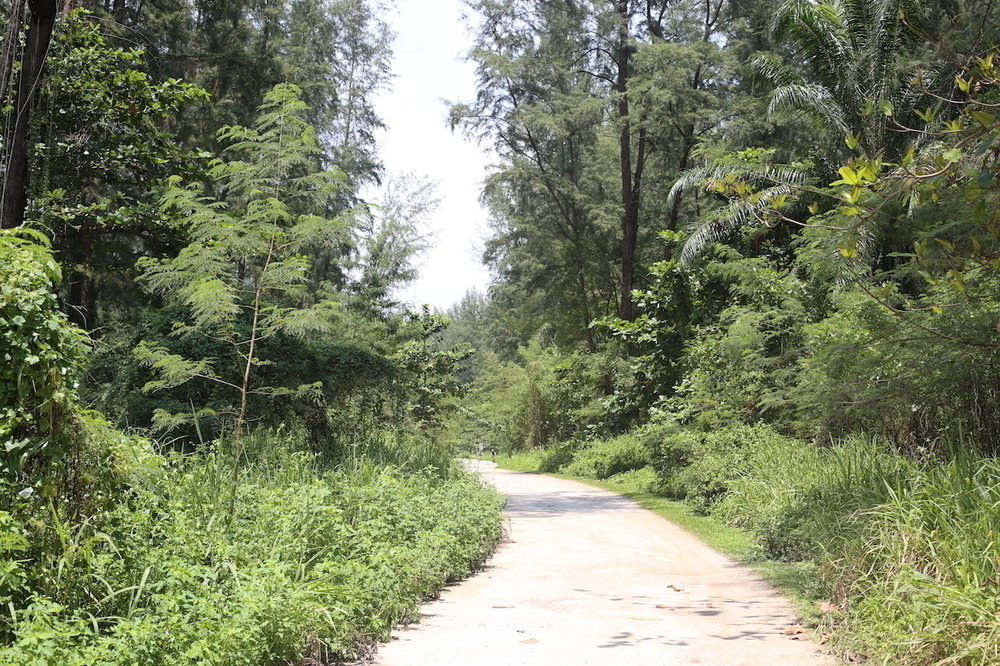 最近流行りのポンゴル公園 〜 コニー島・至福の14kmの写真7