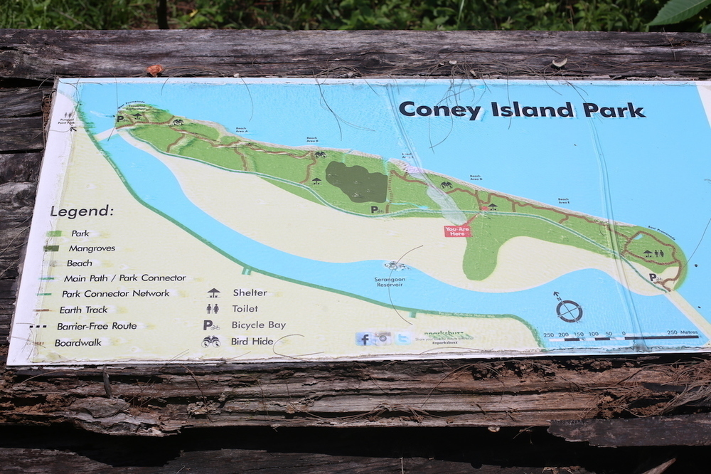 最近流行りのポンゴル公園 〜 コニー島・至福の14kmの写真8