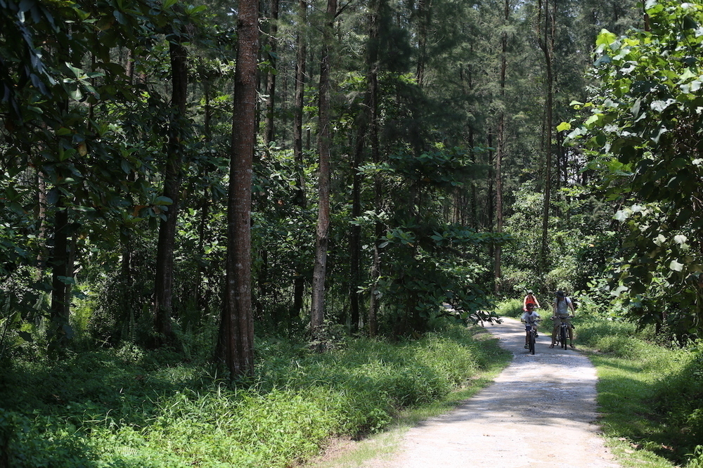 最近流行りのポンゴル公園 〜 コニー島・至福の14kmの写真9