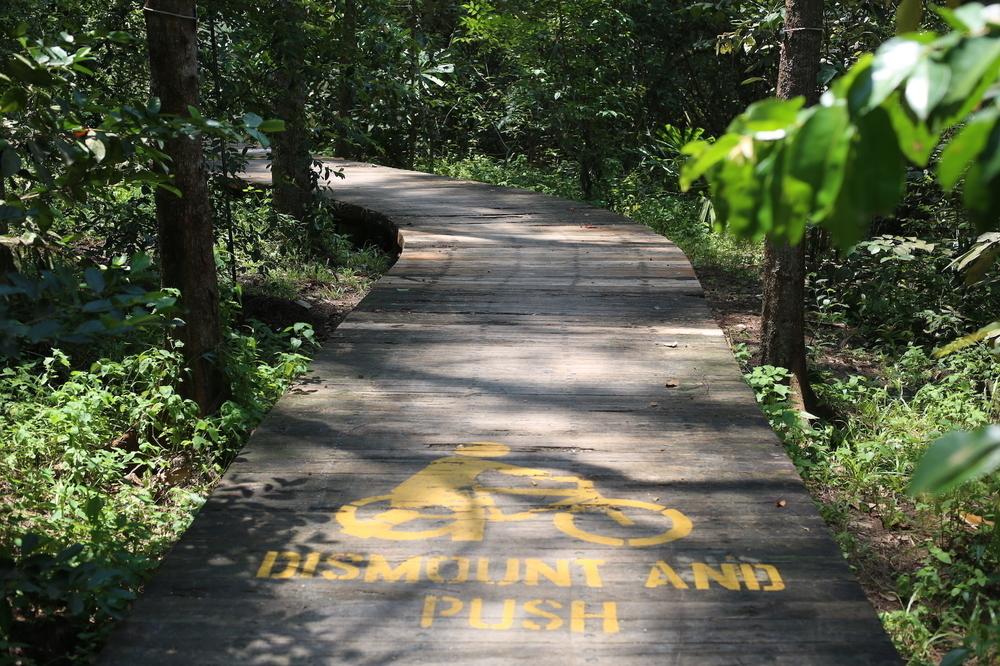 最近流行りのポンゴル公園 〜 コニー島・至福の14kmの写真10