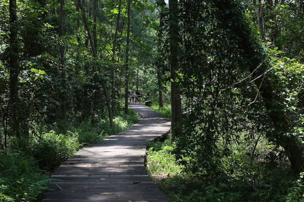 最近流行りのポンゴル公園 〜 コニー島・至福の14kmの写真11
