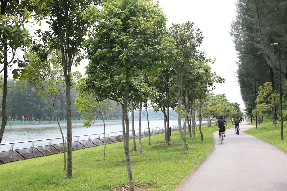 最近流行りのポンゴル公園 〜 コニー島・至福の14kmの写真12