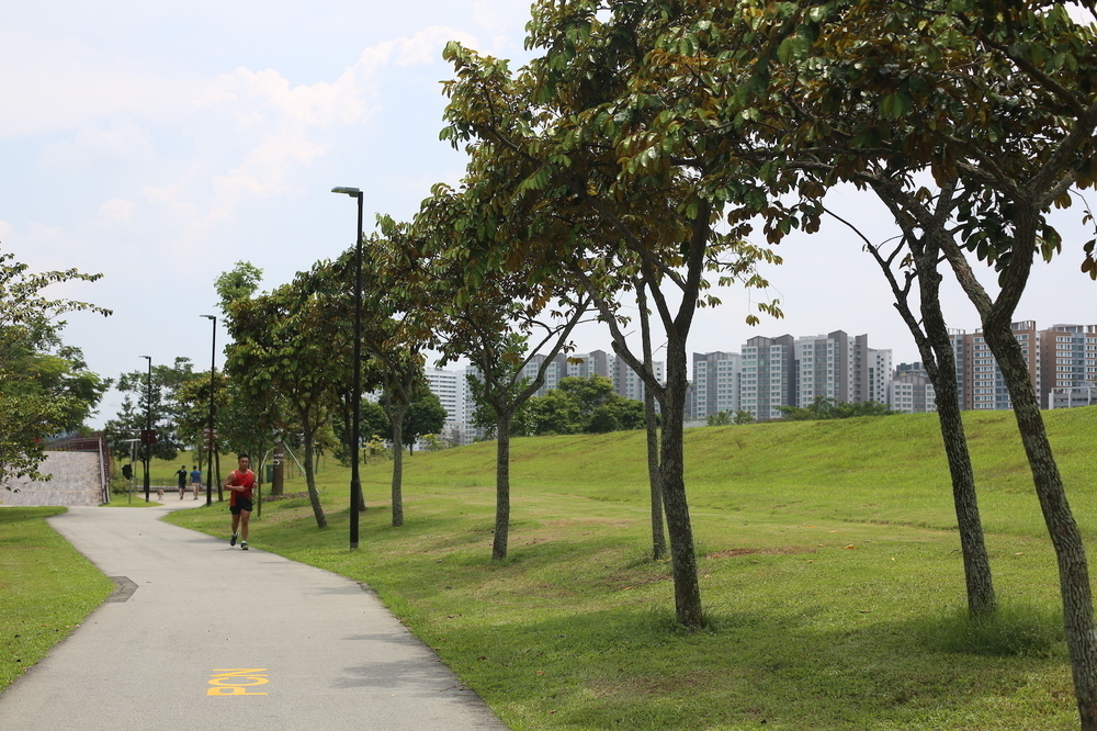 最近流行りのポンゴル公園 〜 コニー島・至福の14kmの写真13