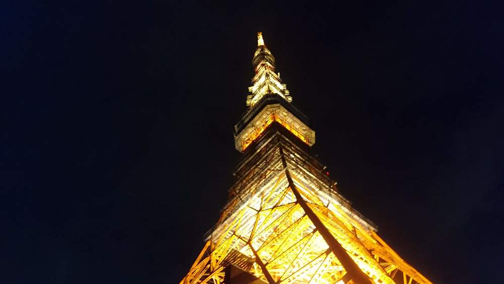 港区をぐるっと10kmナイトラン ～夜空に煌めくタワー目指して～の写真5