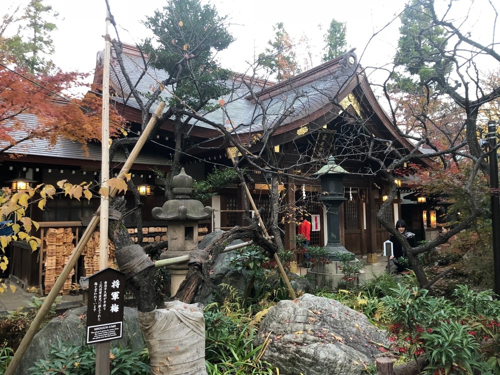 出世の石段～皇居～築地市場一周コースの写真3