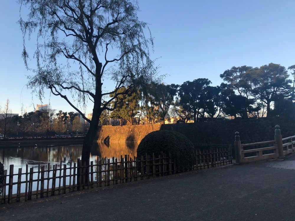 出世の石段～皇居～築地市場一周コースの写真4