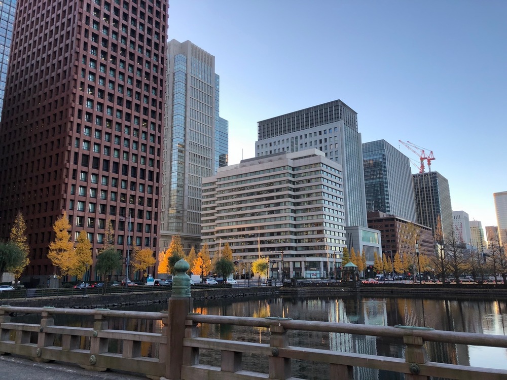 出世の石段～皇居～築地市場一周コースの写真5
