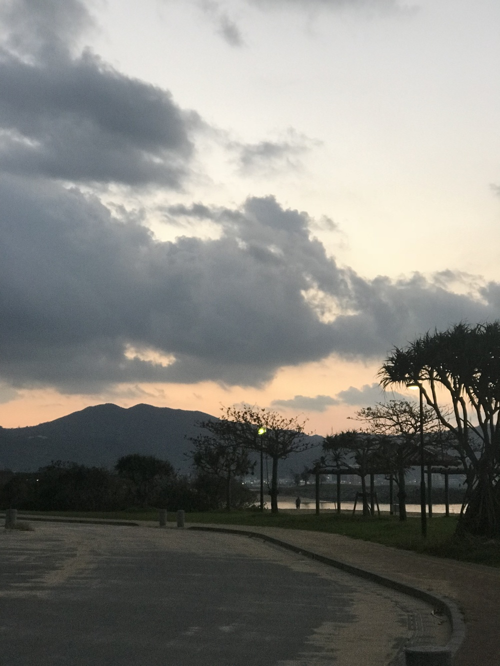 名護の道を30kランの写真3