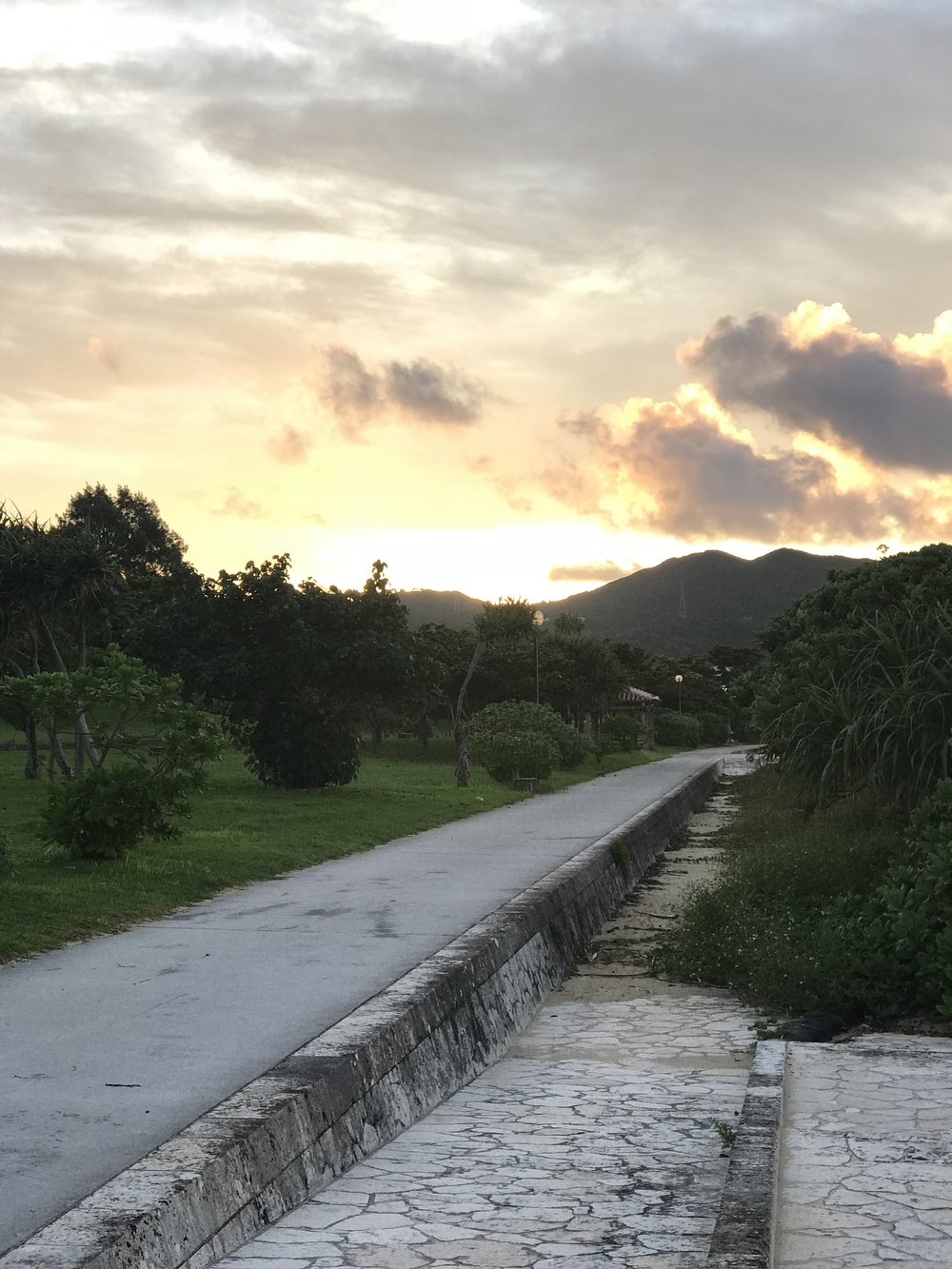 名護の道を30kランの写真4