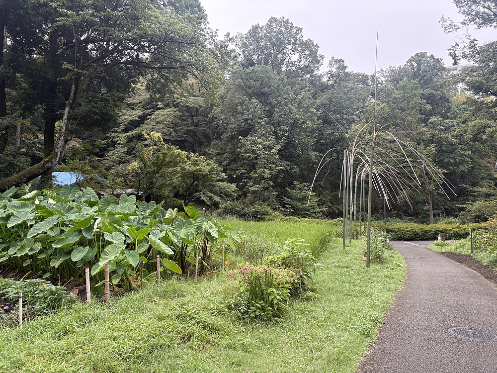 短い距離のセンター北，南駅周辺のPark & Roadの写真3