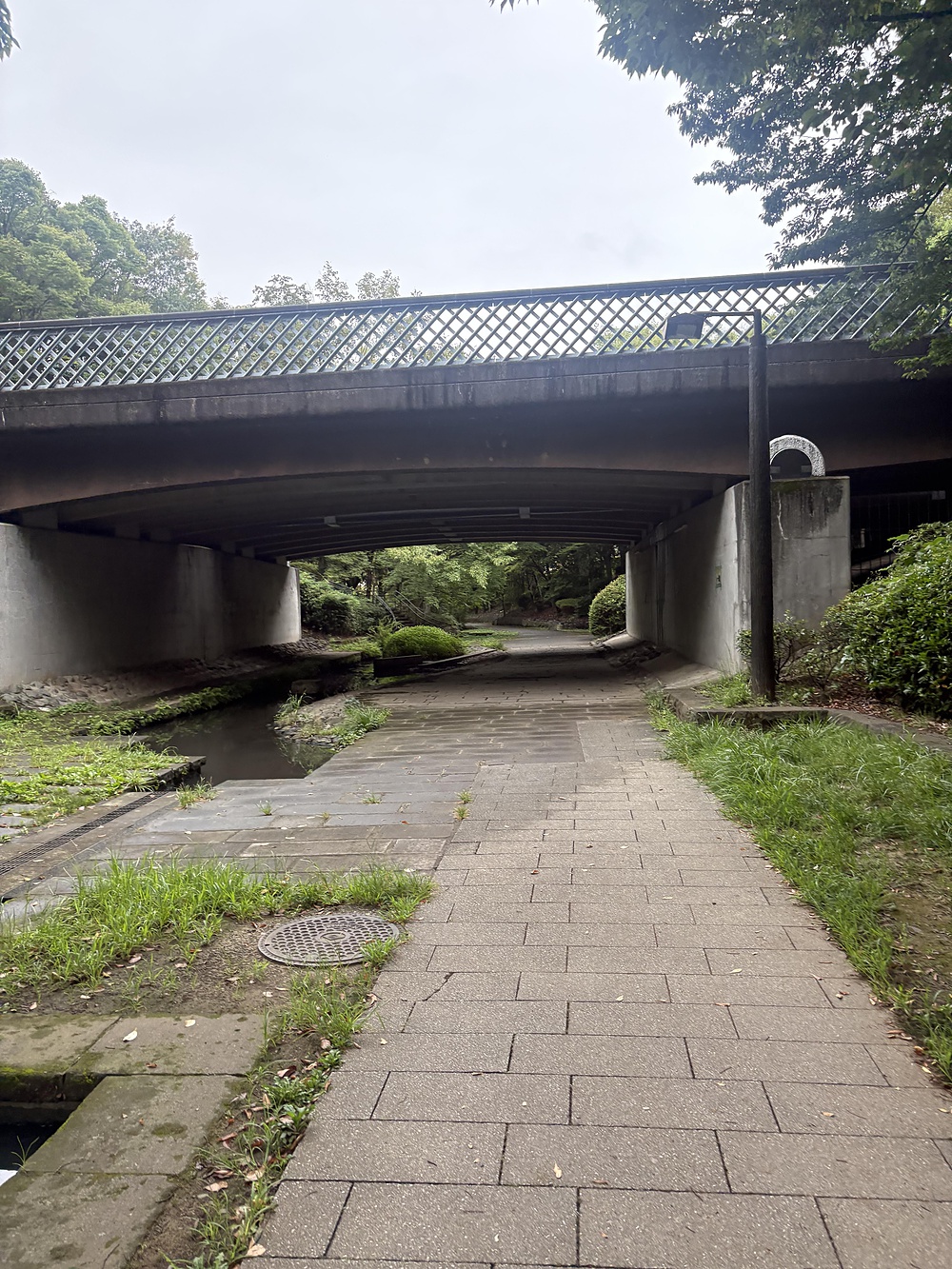 短い距離のセンター北，南駅周辺のPark & Roadの写真5