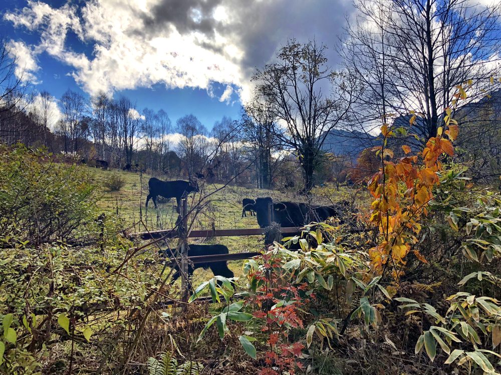 新穂高温泉から槍ヶ岳日帰りピストンの写真8