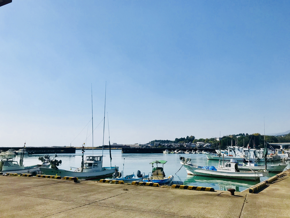 景色を楽しむ！美々津ランニング！の写真12