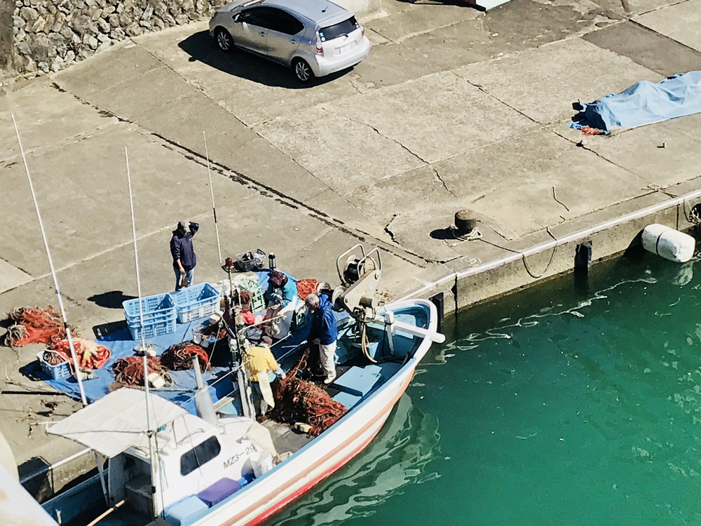 景色を楽しむ！美々津ランニング！の写真13