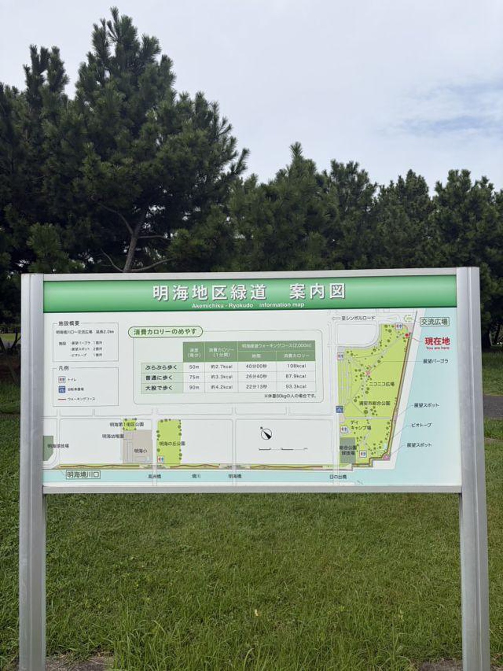 浦安市の三番瀬～明海のコースの写真3