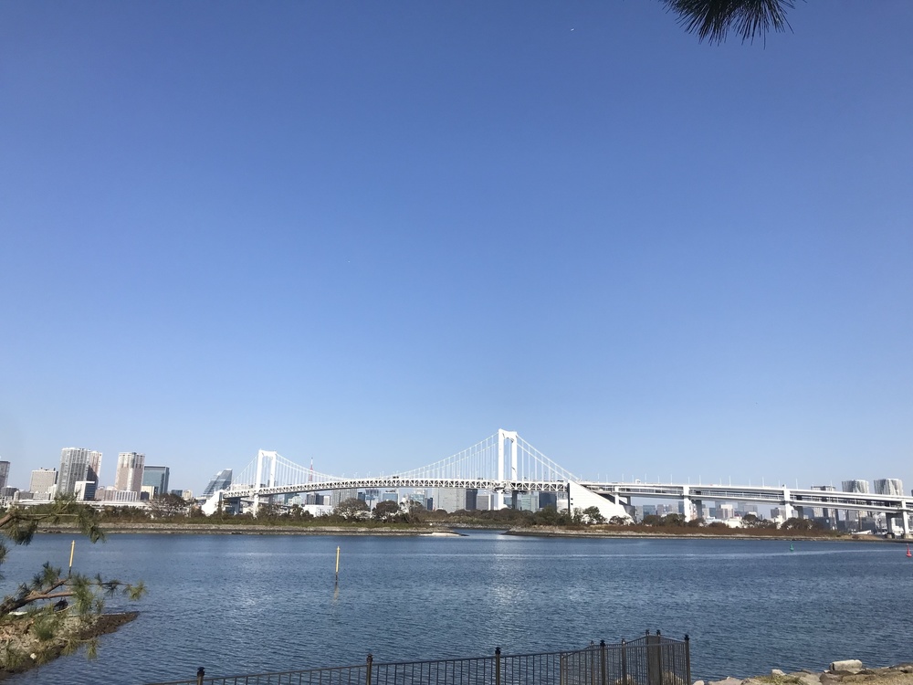 バス:品川→お台場。jog7km:お台場→品川  の写真3