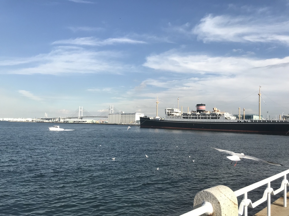 品川〜新丸子〜横浜〜恵びす温泉の写真3