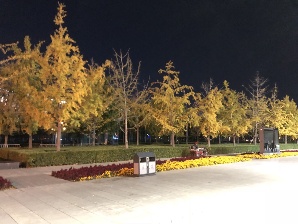 北京オリンピック公園鳥の巣からのオリンピック森林公園ランの写真6