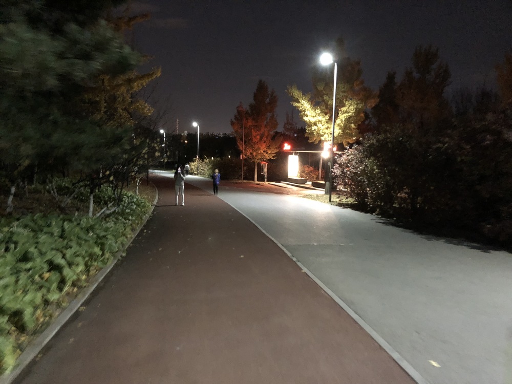 北京オリンピック公園鳥の巣からのオリンピック森林公園ランの写真8