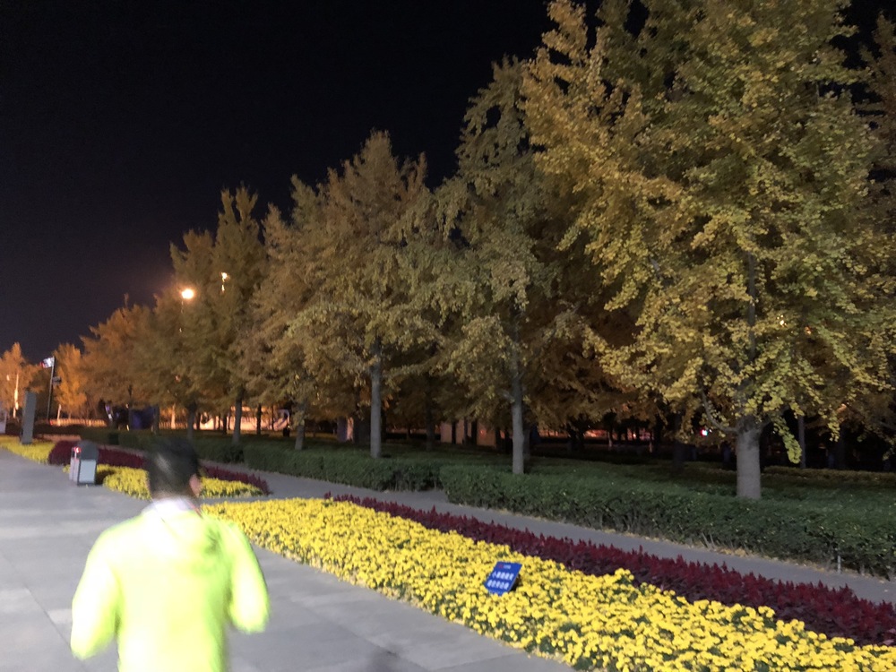 北京オリンピック公園鳥の巣からのオリンピック森林公園ランの写真12