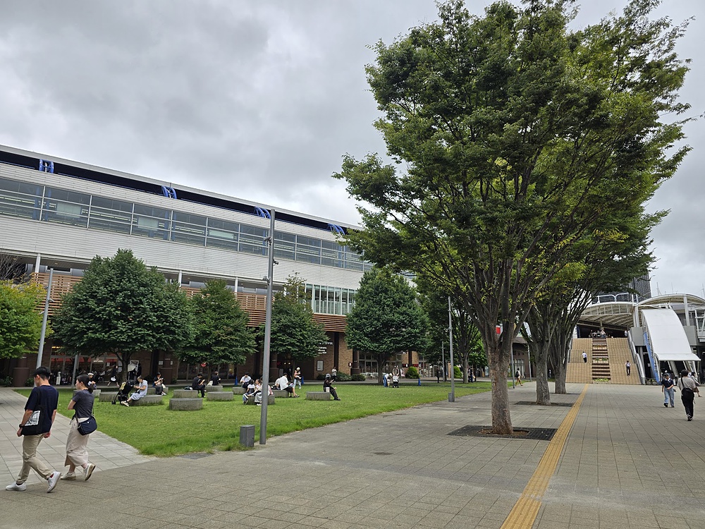 CYCLOから流山の森をめぐるプチトレイルの写真6