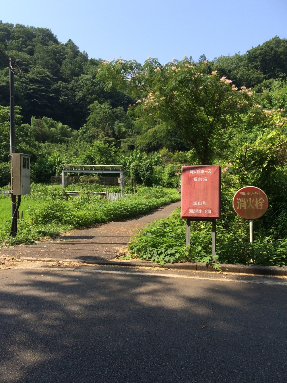 城山湖トレイルの写真4