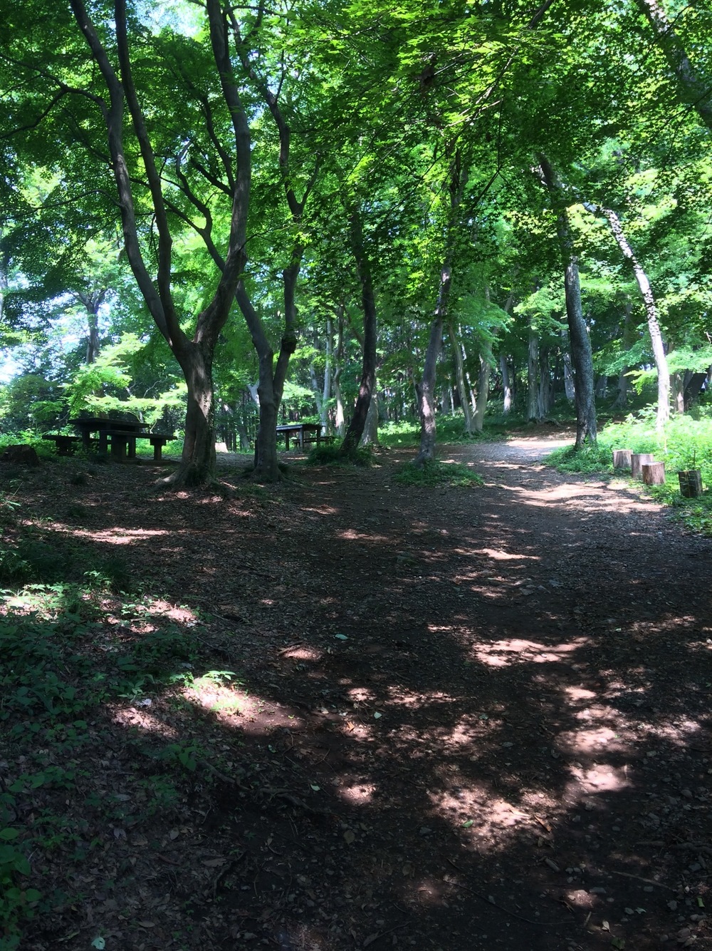 城山湖トレイルの写真7