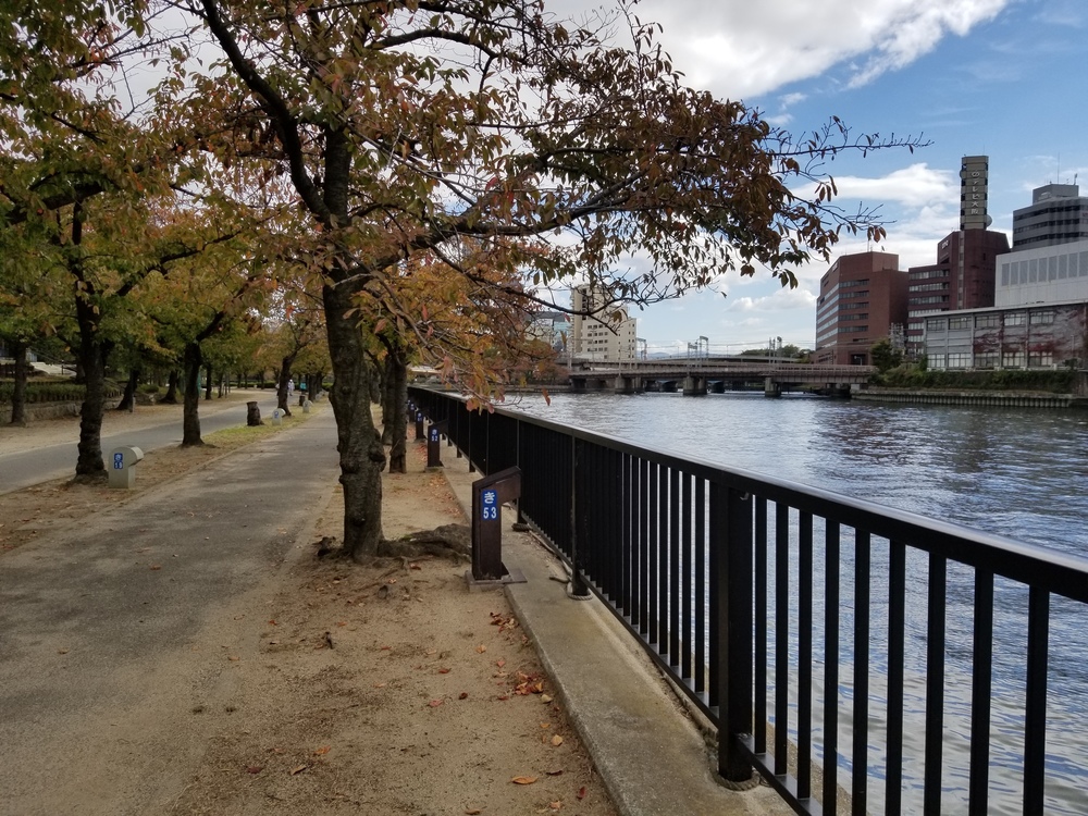 Osaka alongside the river. 水の都・大阪都心部の水辺 の写真5