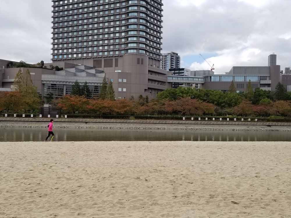 Osaka alongside the river. 水の都・大阪都心部の水辺 の写真8