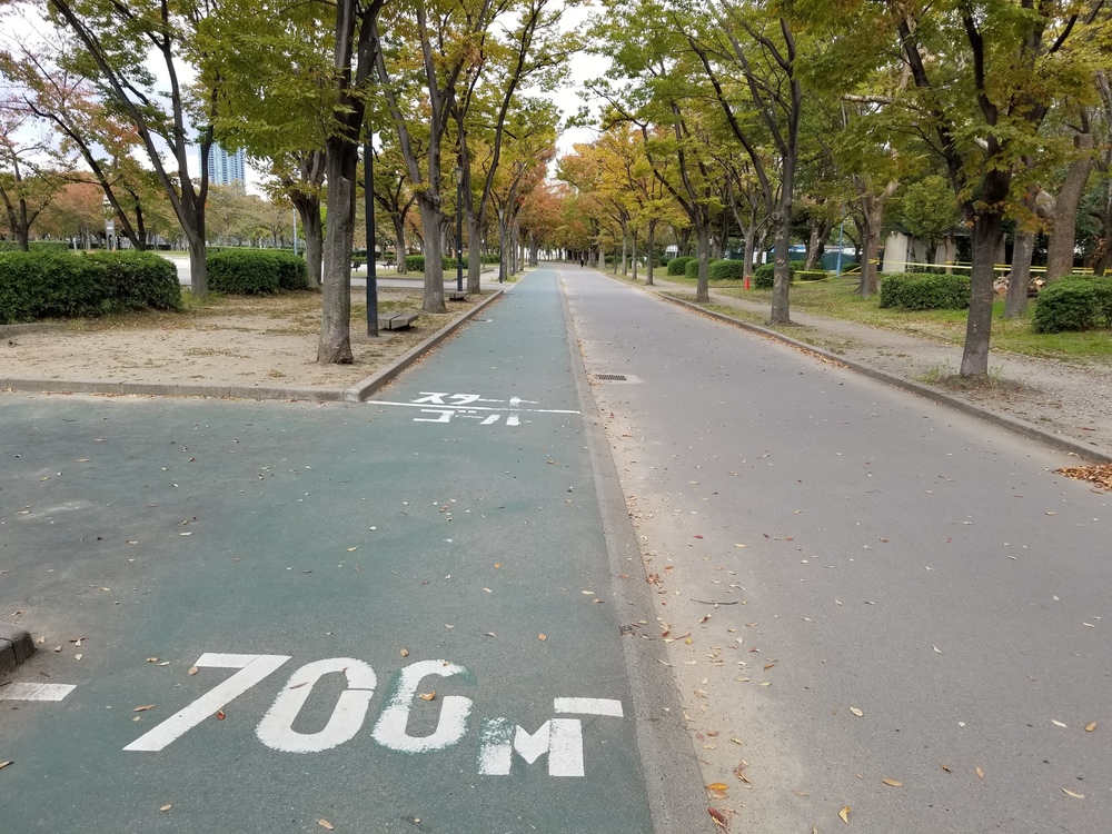 Osaka alongside the river. 水の都・大阪都心部の水辺 の写真9
