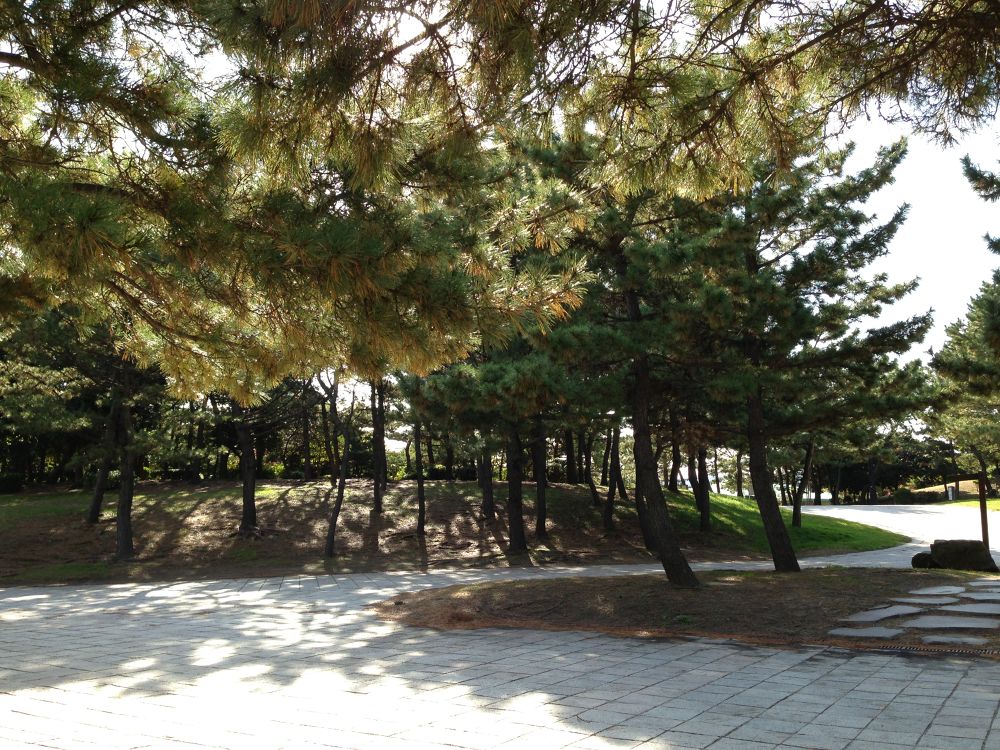 海の公園〜八景島シーパラダイスの写真3