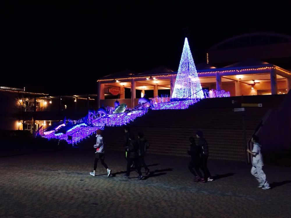 海の公園〜八景島シーパラダイスの写真5