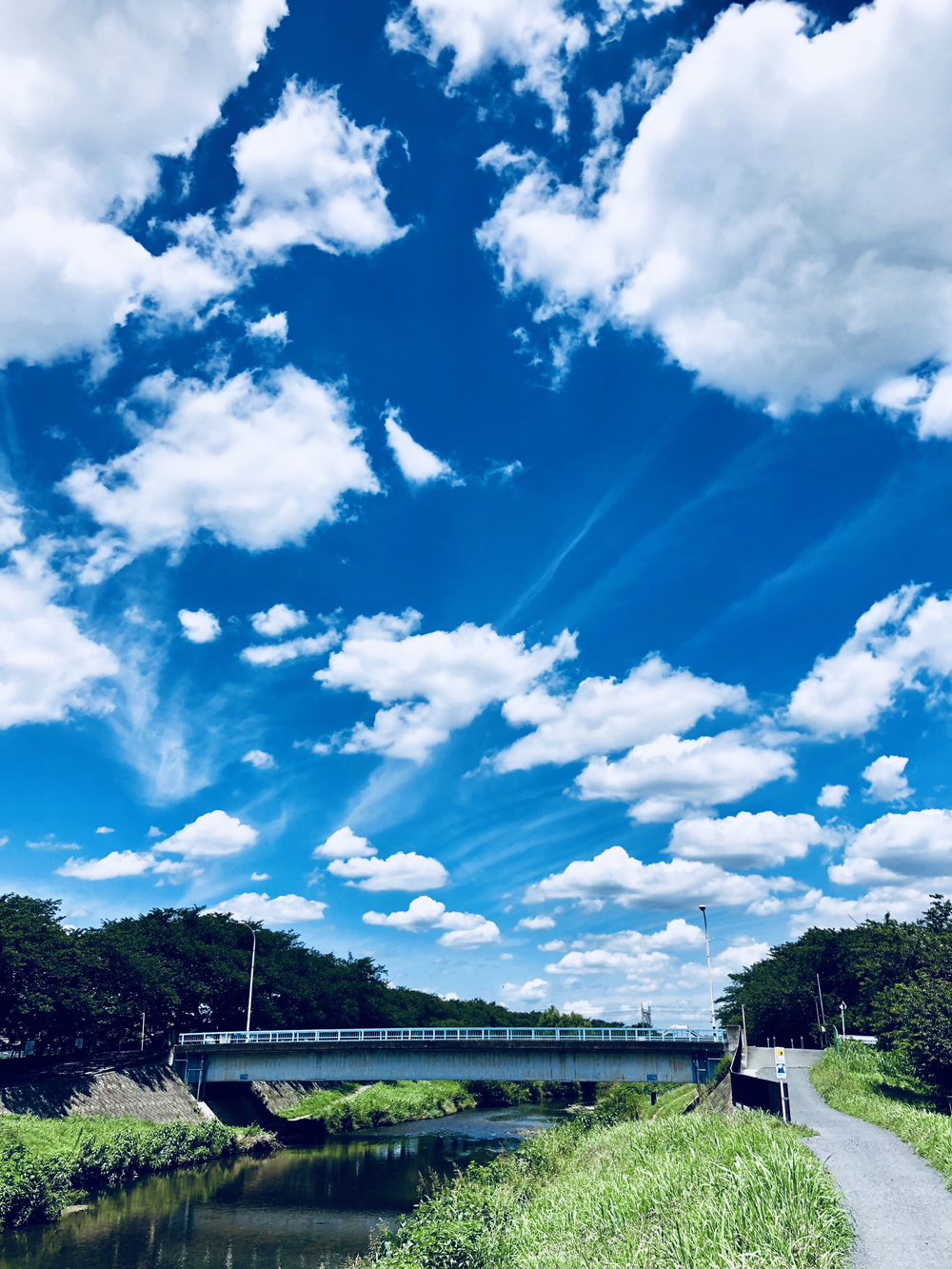 黒目川〜外環側道〜彩湖〜秋ヶ瀬公園30kmコースの写真3