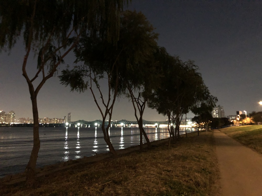 開放感とメトロポリタンの両方を感じるの写真6