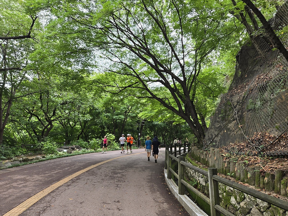 「ソウル南山」：明洞からNソウルタワー・南大門を巡る約4.5kmの写真4